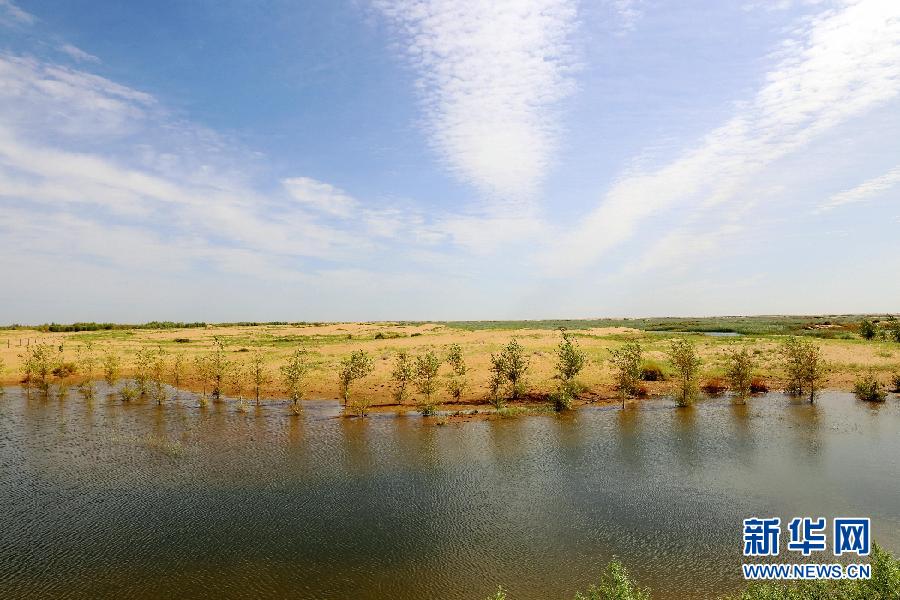 【壮美黄河行】“飞阅”中国：引凌植绿 沙水相连