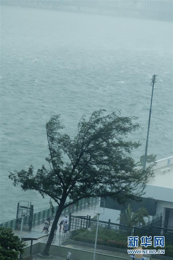 香港发出最高级别热带气旋警告信号