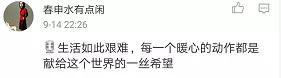 这世间 终有温暖可见