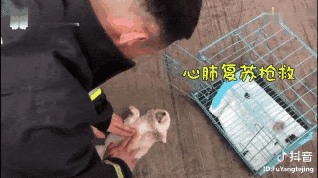 抖音上点赞800万的中国警察：原来这世上真的有超级英雄！
