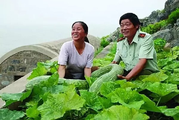 推荐一份年薪百万的工作，签约32年！