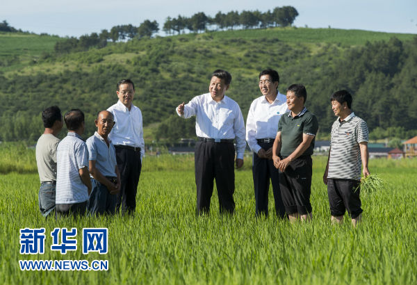 写在首个“中国农民丰收节”：喜看稻菽千重浪 亿万农民庆丰收