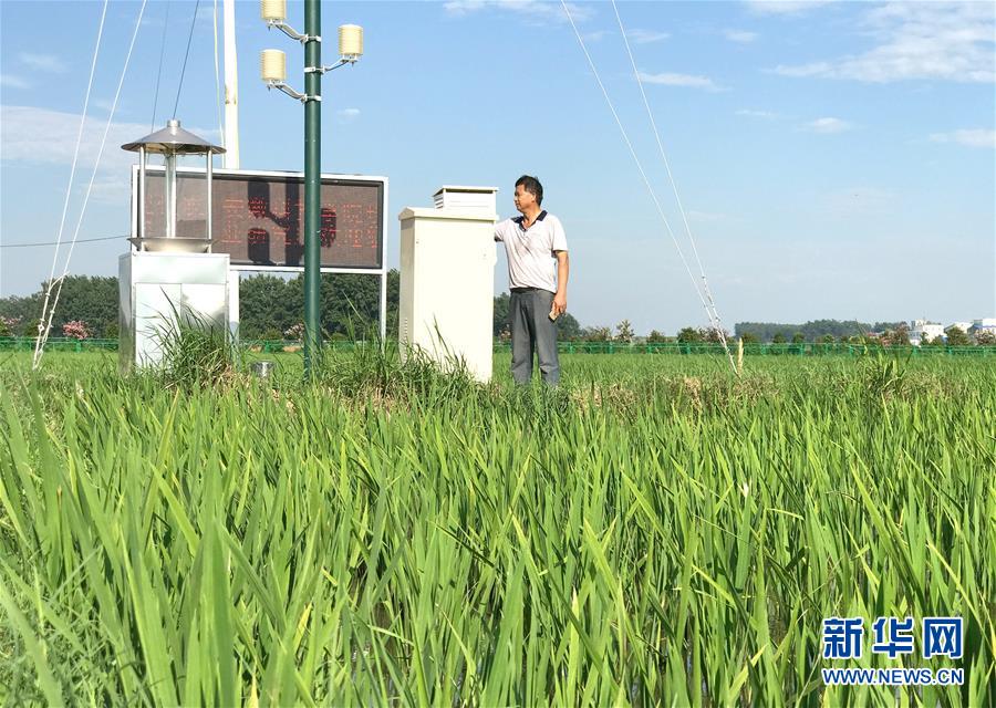 最年轻的节日 最悠久的牵念——写给首个中国农民丰收节