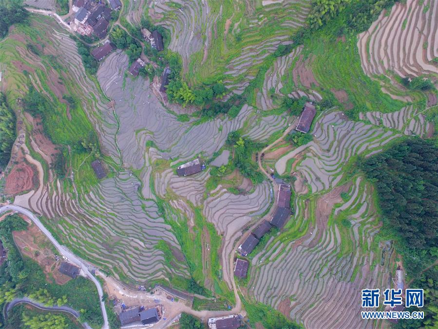 最年轻的节日 最悠久的牵念——写给首个中国农民丰收节
