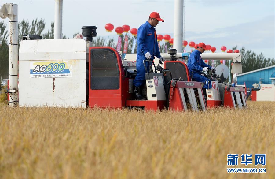 最年轻的节日 最悠久的牵念——写给首个中国农民丰收节