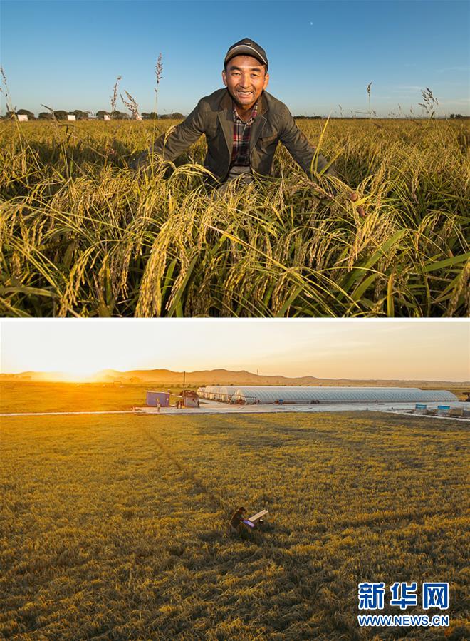 最年轻的节日 最悠久的牵念——写给首个中国农民丰收节