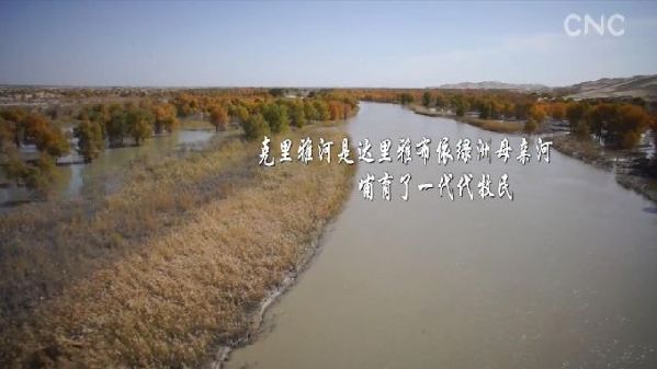 点沙成金！塔克拉玛干的“沙漠人参”