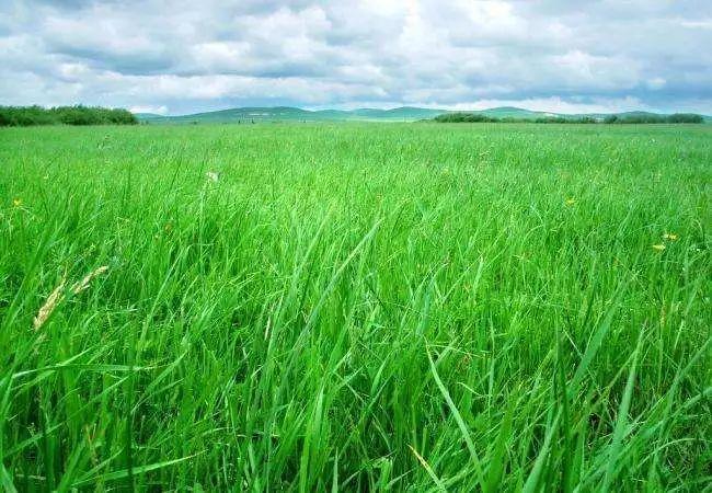 手机代替羊鞭、从蒙古包到楼房……在内蒙古发现40年的消失和新生