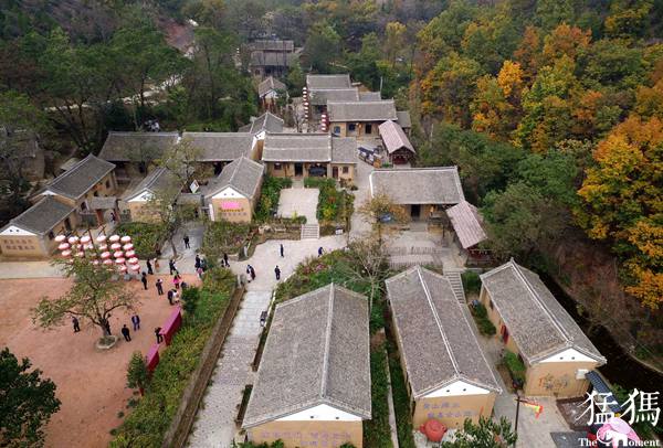 【全国融媒体看河南】豫西百草园：穷山窝变鲜花谷 游人如织景如画