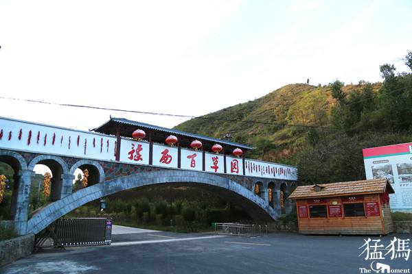 【全国融媒体看河南】豫西百草园：穷山窝变鲜花谷 游人如织景如画