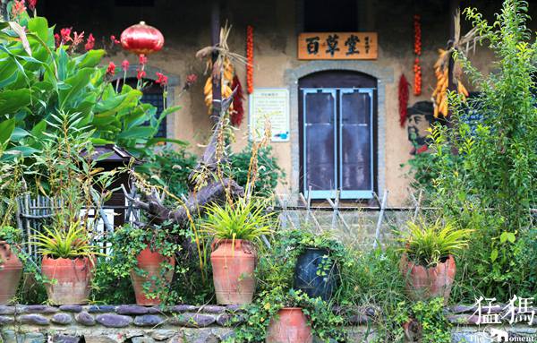 【全国融媒体看河南】豫西百草园：穷山窝变鲜花谷 游人如织景如画