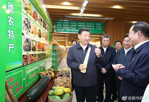 习近平在清远调研