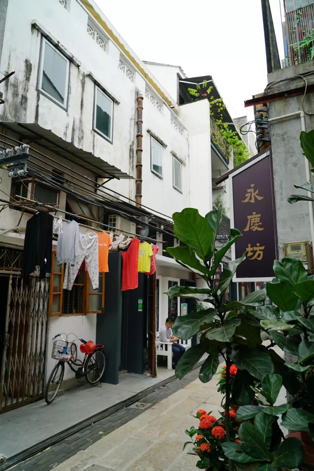 习近平考察深圳广州，第一站分别去了哪儿？