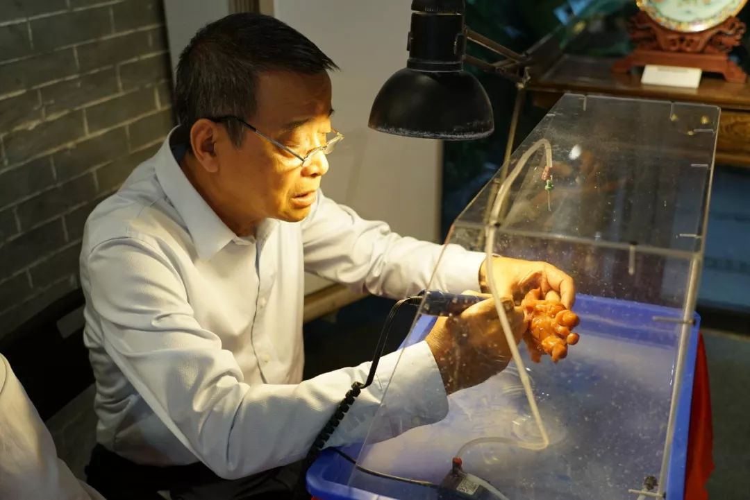 习近平考察深圳广州，第一站分别去了哪儿？