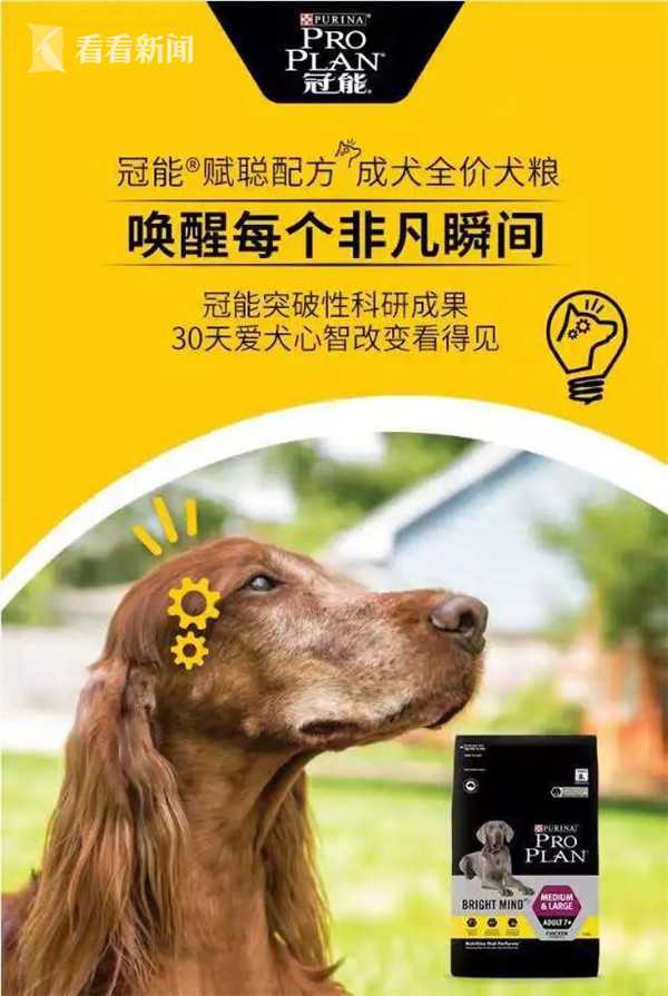 视频｜进博会参观全攻略③丨买买买前请打开这份导购图