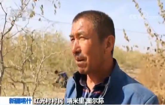 新疆喀什麦盖提红光村：9个民族一家亲