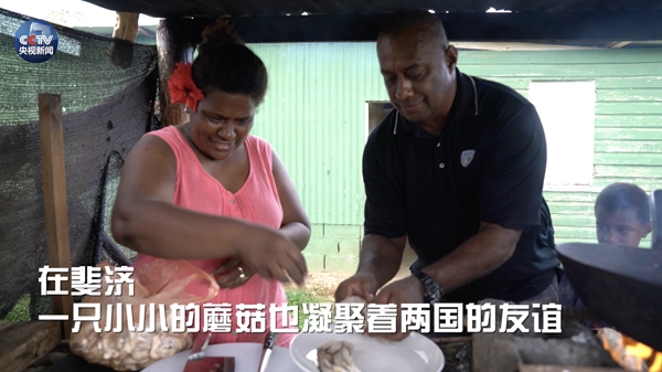 【微视频】斐济与中国 舌尖上的友谊