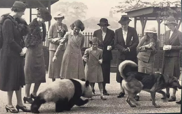 英国女王和熊猫小“明”的往事