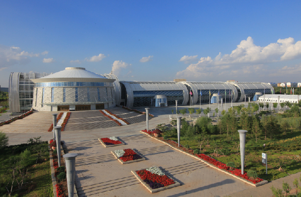 这里是世界的康巴什：一座城，一道景