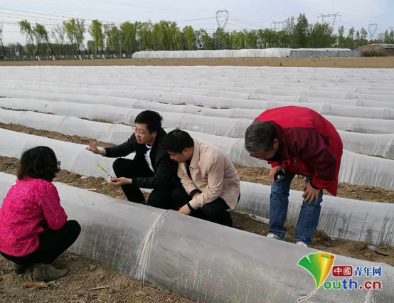 北京农技推广站裴志超：在良田间耕耘的技术能手