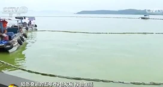 【砥砺奋进的五年·绿色发展 绿色生活】江苏无锡：打捞蓝藻 治理太湖