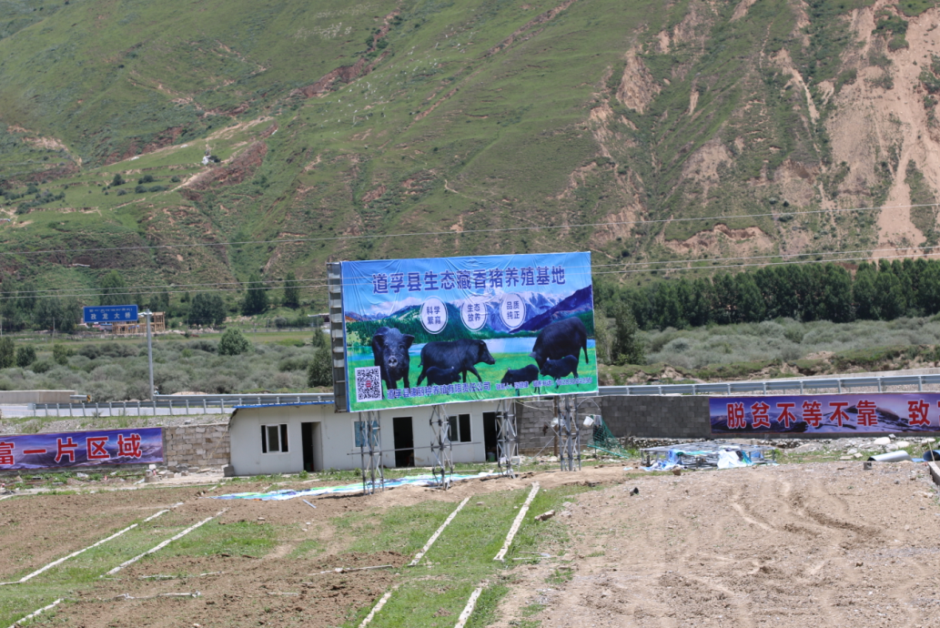 【砥砺奋进的五年】这几个藏区贫困村有了脱贫合作社 贫困户年年享分红