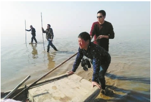 [岳阳] 深读丨洞庭鸟儿家园美了，隐忧仍在