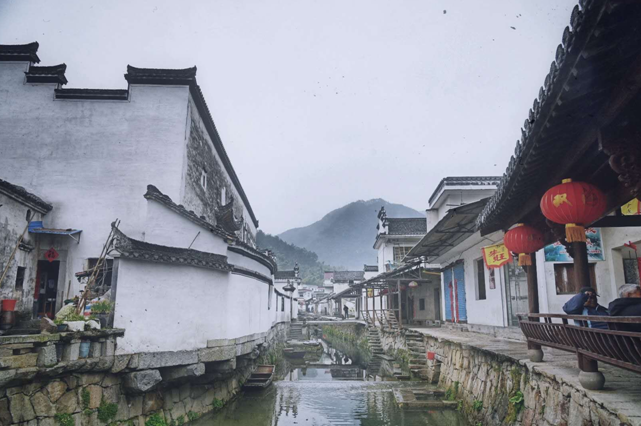 【新春走基层】朱旺村：“小桥流水人家”的兴旺之路