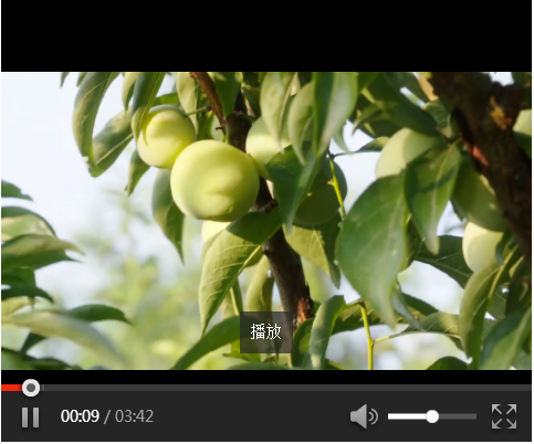 先锋视频丨“小李子”的奇妙旅行