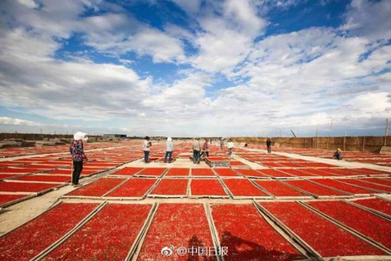 稻花香里说丰年 各地农民庆丰收