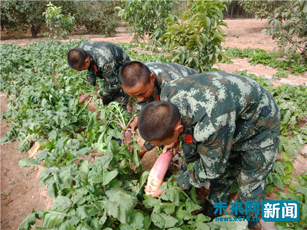 【网络媒体国防行】小车推出来的“十亩江南”：大漠虎兵建绿洲 强军路上放光芒