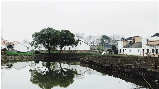 瞧，不一样的乡村：记者新春回乡记