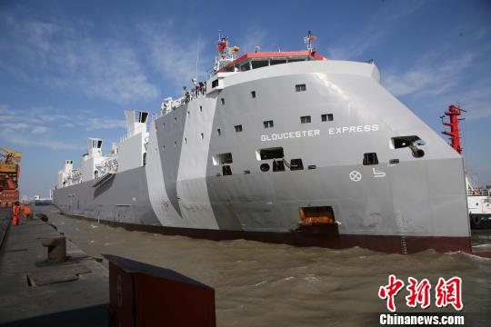 中国首批海运进口澳大利亚屠宰用肉牛抵达山东(图)