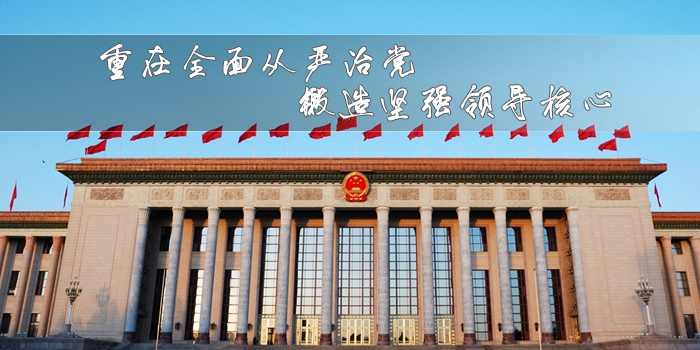 习近平治国理政新实践：续写中国特色社会主义的华丽篇章