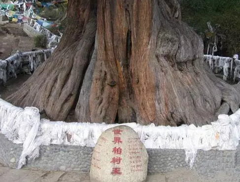 西藏，你一世中一定要去的25个地点丨碰见