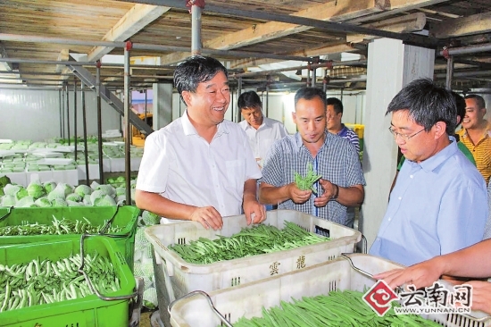 全国优秀县委书记风采录：一名党员干部心中的山水情——记云南石屏县委书记李建阳