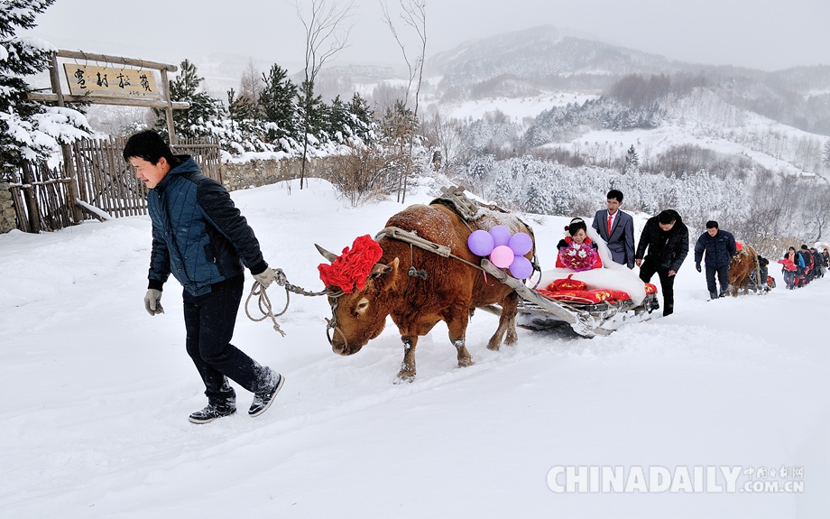 中国摄影师镜头里的中国