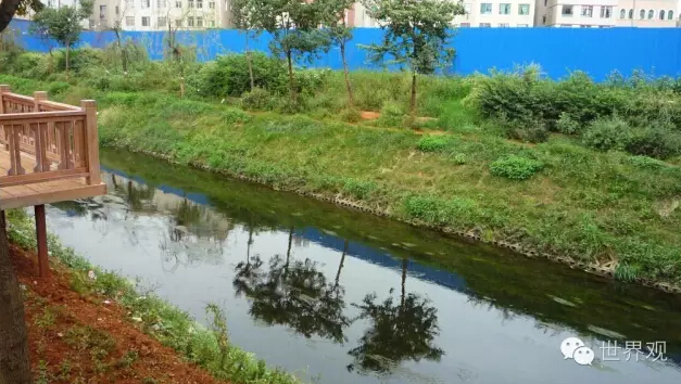 【时评】长江大堤保住了，中小河流怎么办 | 世界观
