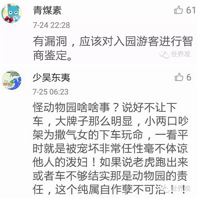 【时评】老虎咬死游客，先别进行道德审判 | 世界观