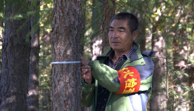 【塞罕坝造林人系列】顾殿江：塞罕坝一张“活地图”