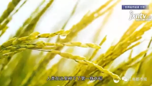 江西，用8分钟惊艳世界！