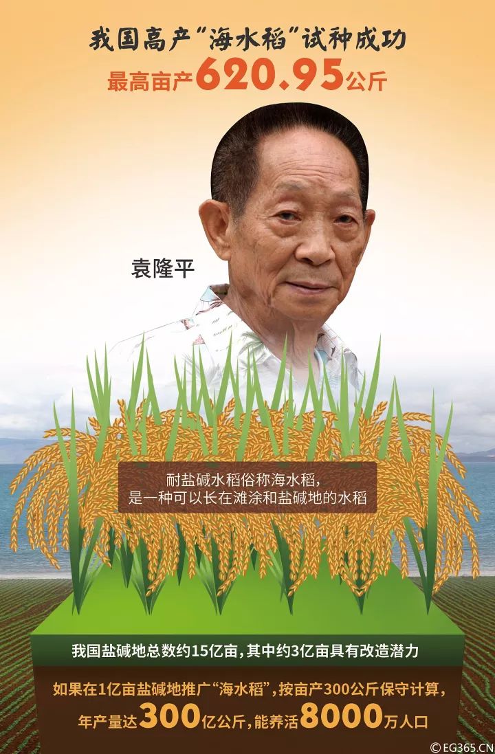 一旦袁隆平的这项水稻亲本去镉技术 得到有效推广, 就会将镉米污染