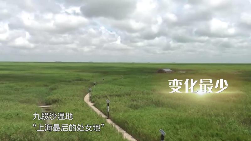 最深的宝库，最土的地方，最折腾的马路…这些浦东之最，90%“土著”都不知道