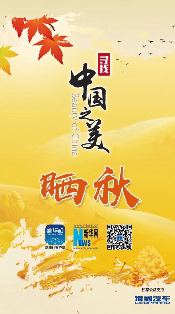 中国之美|每一个起舞的日子，都不负此生。