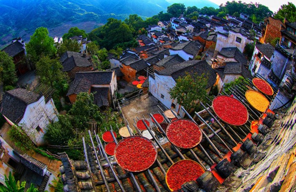 中国之美|每一个起舞的日子，都不负此生。