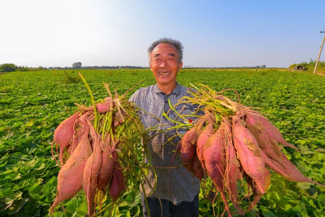 中国之美 | 你的小生活，都是值得记录的大事件。